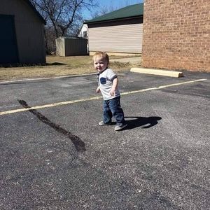 Meet your Posher, Ginger